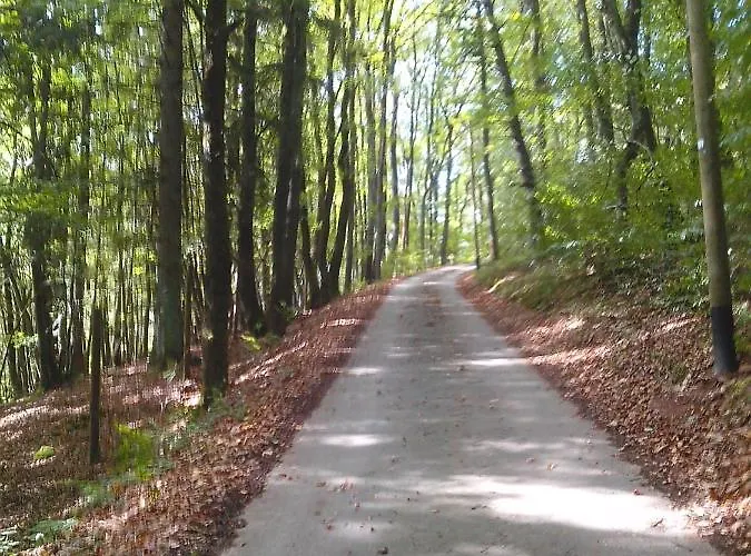 Am Nationalpark Lejlighed